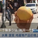 韩国一个梨多少钱(韩国一个梨20多元)